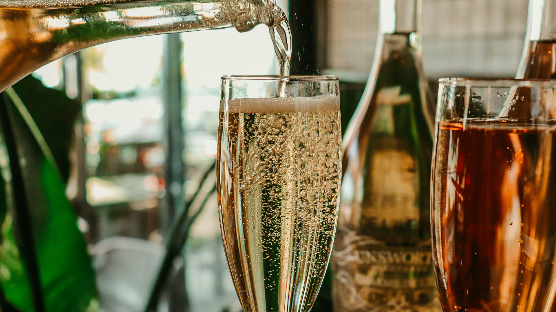 immagine champagne e vini online